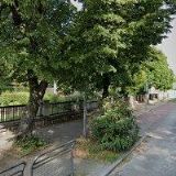 ČESKÁ ASOCIACE SHOGI z.s.