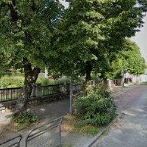 obrazek: avatar ČESKÁ ASOCIACE SHOGI z.s.