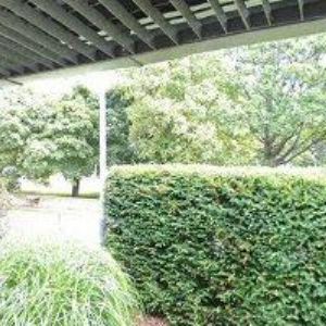 obrazek: avatar BAOBAB z.s.