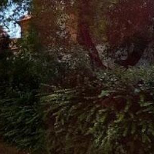 obrazek: avatar NADACE ČESKÝ HUDEBNÍ FOND