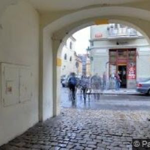 obrazek: avatar NADACE JAVORNÍK