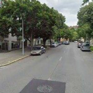 obrazek: avatar NADACE PROF. RÖSCHE