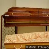 ČESKÁ SPOLEČNOST ORNITOLOGICKÁ