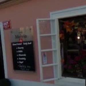 obrazek: avatar DEMAS-ASOCIACE PRO PODPORU DEMOKRACIE A LIDSKÝCH PRÁV