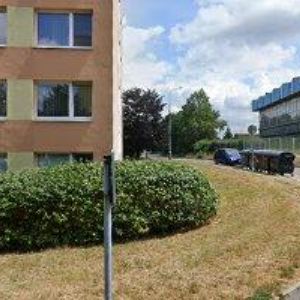 obrazek: avatar SPOLEČNOST ANTONÍNA ŠVEHLY, z.s.