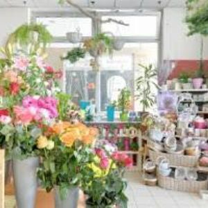 obrazek: avatar ZOOS DP-ED