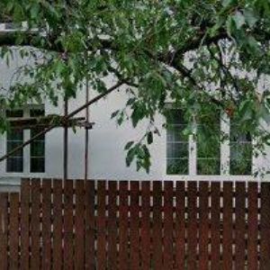 obrazek: avatar LEX z.s.