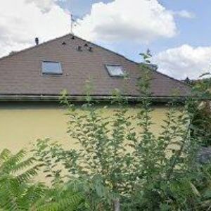 obrazek: avatar SPIN, z.s.