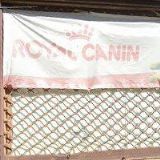 ČESKÁ ASOCIACE AMERICKÉ OBČANSKÉ VÁLKY