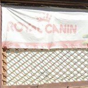 obrazek: avatar ČESKÁ ASOCIACE AMERICKÉ OBČANSKÉ VÁLKY