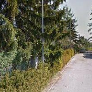 obrazek: avatar ČESKÝ RYBÁŘSKÝ SVAZ, MO Praha-Velká Chuchle