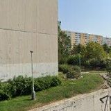 ČESKÝ SVAZ CHOVATELŮ, ZÁKLADNÍ ORGANIZACE CHOVATELŮ MORČAT A JINÝCH DROBNÝCH HLODAVCŮ