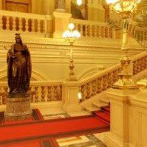 obrazek: avatar ČESKÁ SPOLEČNOST PRO OCHRANU NETOPÝRŮ