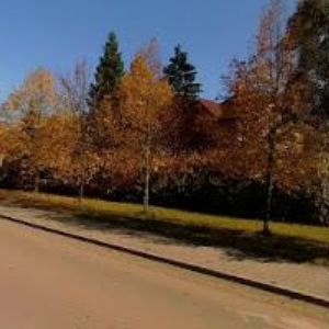 obrazek: avatar ČESKÝ RYBÁŘSKÝ SVAZ, MO Újezd nad Lesy