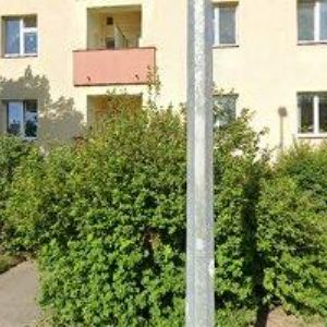 obrazek: avatar ASF ASOCIACE FANTASY