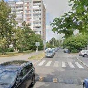 obrazek: avatar ZÁKLADNÍ ORGANIZACE ČESKÉHO SVAZU OCHRÁNŮ PŘÍRODY 01/43