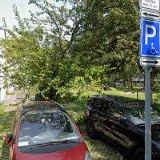 ČESKÝ RYBÁŘSKÝ SVAZ, MO Praha 9-Vysočany