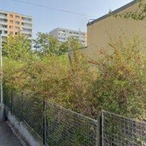 obrazek: avatar SPOLEČNOST PRO TALENT A NADÁNÍ