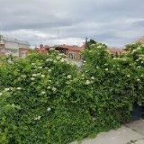 APERIO-SPOLEČNOST PRO ZDRAVÉ RODIČOVSTVÍ