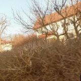 SVAZ ČESKÝCH HÁDANKÁŘŮ A KŘÍŽOVKÁŘŮ