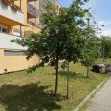 ASOCIACE AKUSTIKY ČESKÉHO STAVEBNICTVÍ o.s.