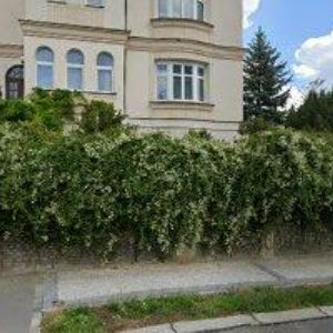 obrazek: avatar CACIO