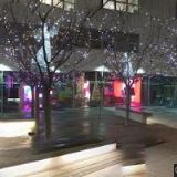 ASOCIACE DIGITÁLNÍCH TELEVIZÍ