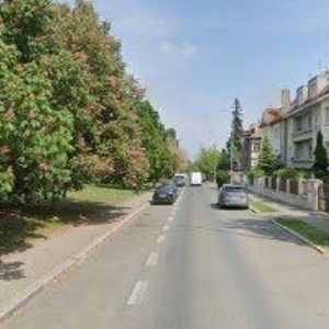 obrazek: avatar OPONA, o.p.s.