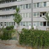 1.ASOCIACE DIVADELNÍCH A FILMOVÝCH ŠERMÍŘŮ