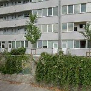 obrazek: avatar 1.ASOCIACE DIVADELNÍCH A FILMOVÝCH ŠERMÍŘŮ