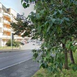 obrazek: avatar CREATIVE MIND