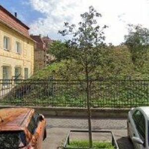 obrazek: avatar HOLCNER TOMÁŠ Mgr.