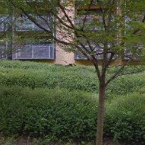 obrazek: avatar ARTSTOM s.r.o.