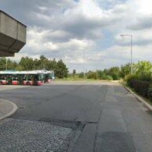 obrazek: avatar MAGISTRA-LÉKÁRNA ELIE