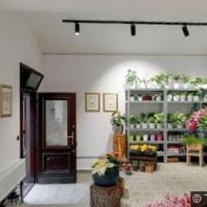 obrazek: avatar ORDINACE NA MARJÁNCE s.r.o.