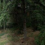 ÚSTAV TEORETICKÉ A APLIKOVANÉ MECHANIKY AV ČR, v.v.i.