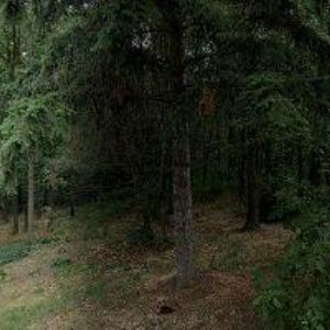 obrazek: avatar ÚSTAV TEORETICKÉ A APLIKOVANÉ MECHANIKY AV ČR, v.v.i.