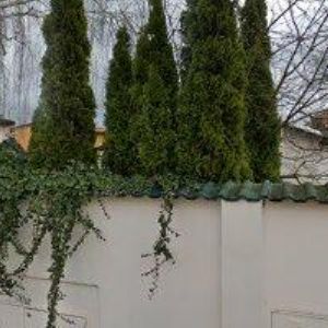 obrazek: avatar LEMMANDE s.r.o.