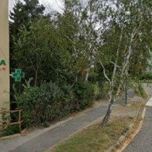 obrazek: avatar OK-GYN s.r.o.