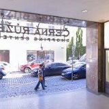 ČERNÁ RŮŽE LÉKÁRNA