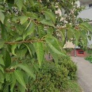 obrazek: avatar CAMC PLUS s.r.o.