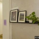 STOMATOLOGIE ROKOSKA s.r.o.