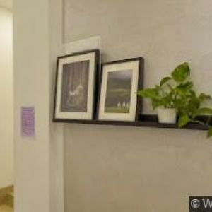 obrazek: avatar STOMATOLOGIE ROKOSKA s.r.o.