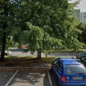 obrazek: avatar VITALIS