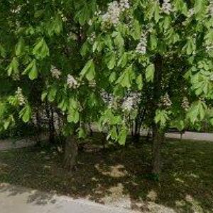 obrazek: avatar ŠLECHTA PAVEL MUDr.