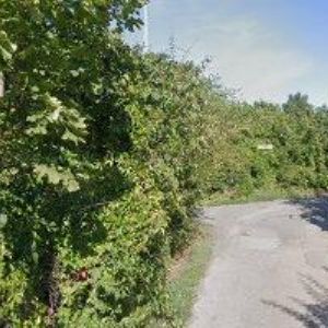 obrazek: avatar SPRÁVNÁ VOLBA s.r.o.