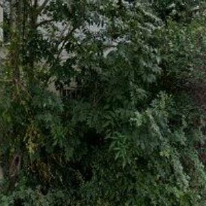 obrazek: avatar GYNERA s.r.o.