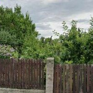 obrazek: avatar DVOŘÁKOVÁ ZORA MUDr.