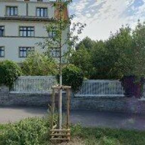 obrazek: avatar MARKUS RADEK Mgr.