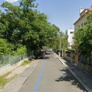 obrazek: avatar KORYNTA PAVEL MUDr.